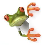 Grenouille tenant un encart sur sa gauche