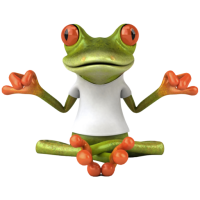 faviconarmdynamique-512 Logo composé d'une grenouille en position du lotus. A.R.M. Dynamique : Anticiper, Réunir et Manager pour devenir zen d'efficacité.